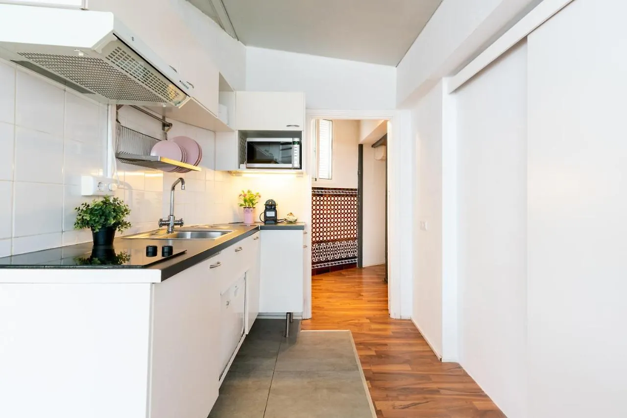 Plaza Nueva Terraza Apartment Seville