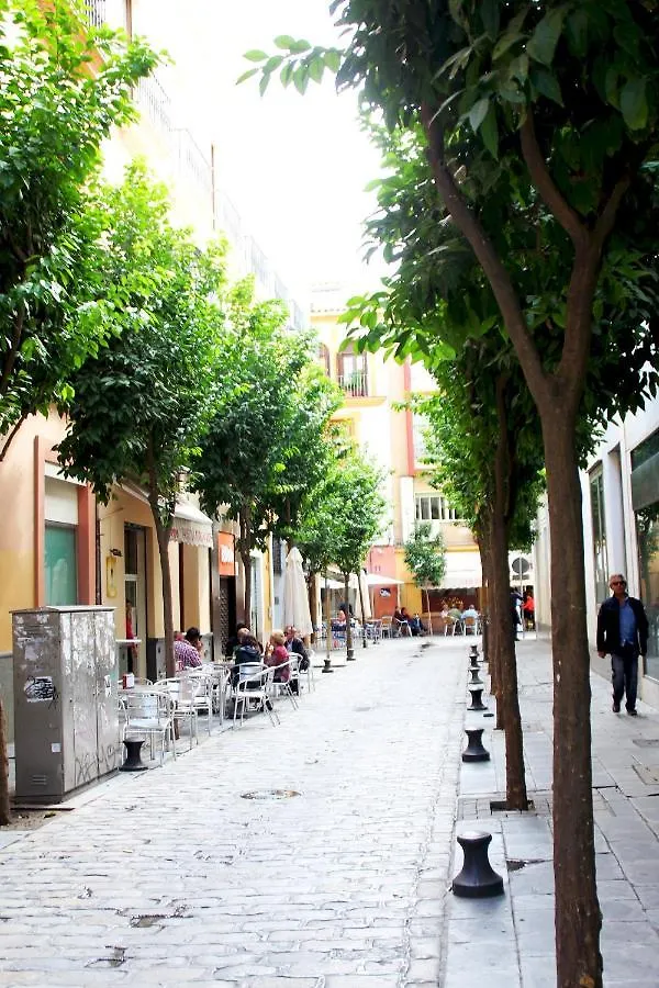 Plaza Nueva Terraza Apartment Seville