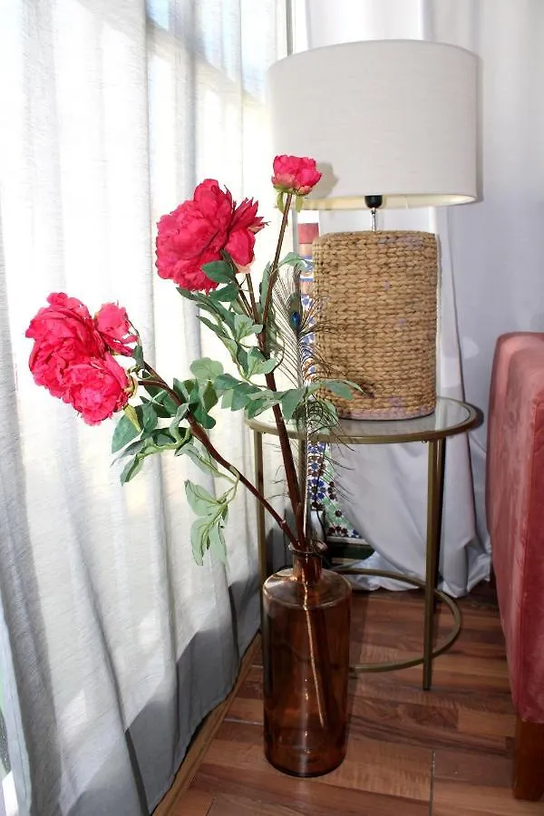 Plaza Nueva Terraza Apartment Seville